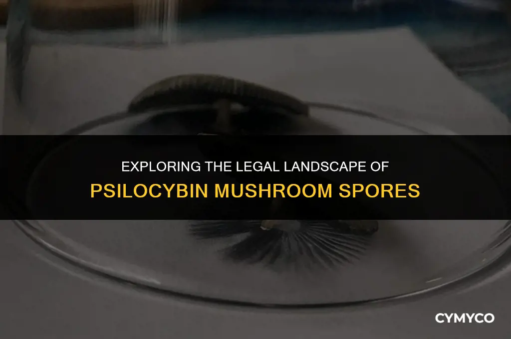 are shroom spores illegal
