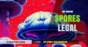Exploring the Legal Landscape of Psilocybin Mushroom Spores
