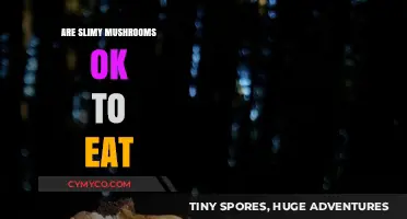 Exploring Edibility: Are Slimy Mushrooms Safe to Eat?