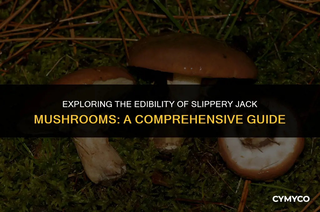 are slippery jack mushrooms edible