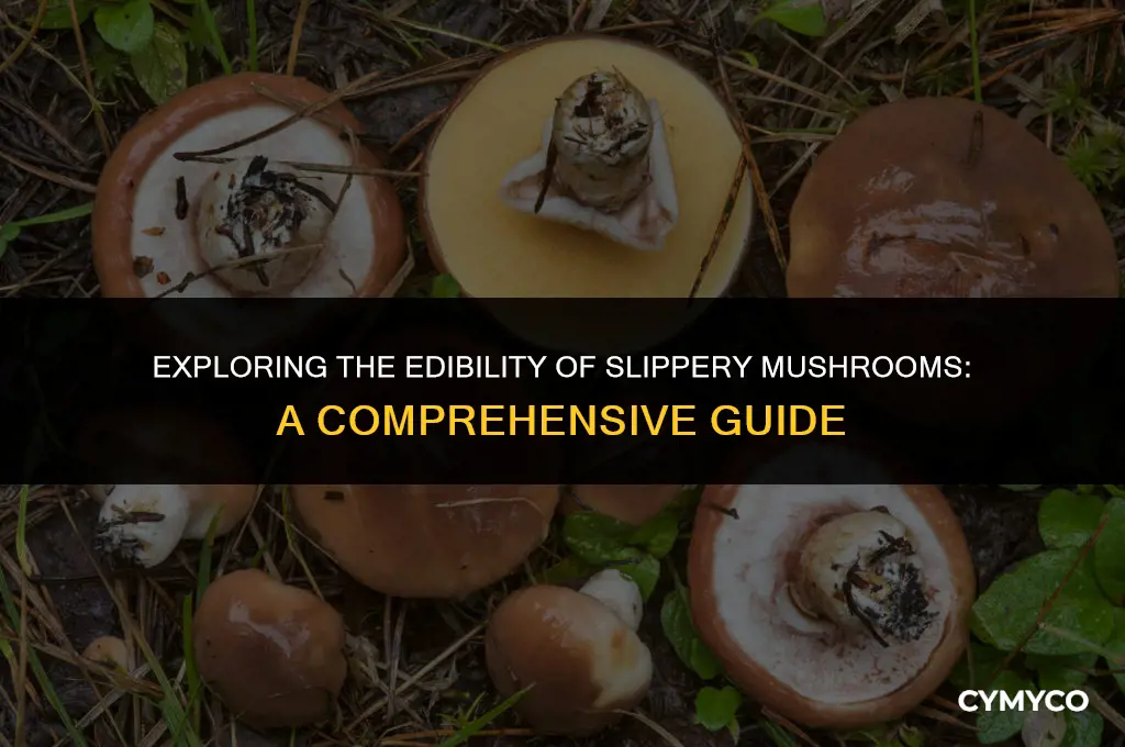 are slippery mushroom edible