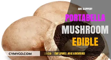 Exploring the Edibility of Slippery Portabella Mushrooms: A Guide