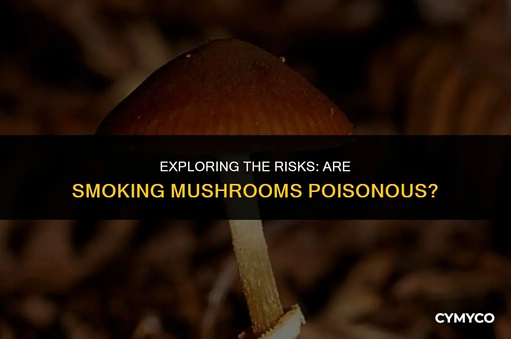 are smoking mushrooms poisonous