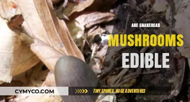 Exploring the Edibility of Snakehead Mushrooms: A Comprehensive Guide