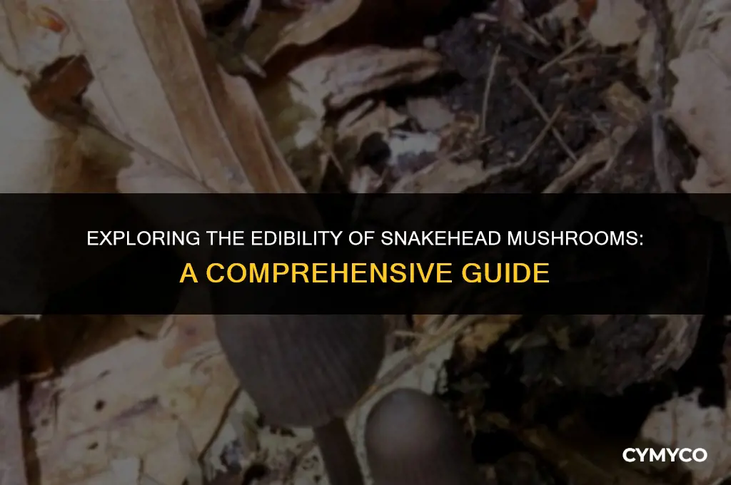 are snakehead mushrooms edible