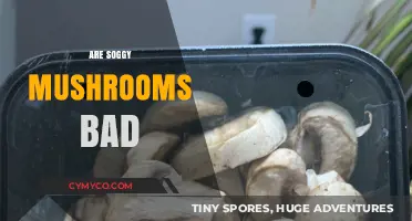 Are Soggy Mushrooms Bad: A Comprehensive Guide to Mushroom Safety