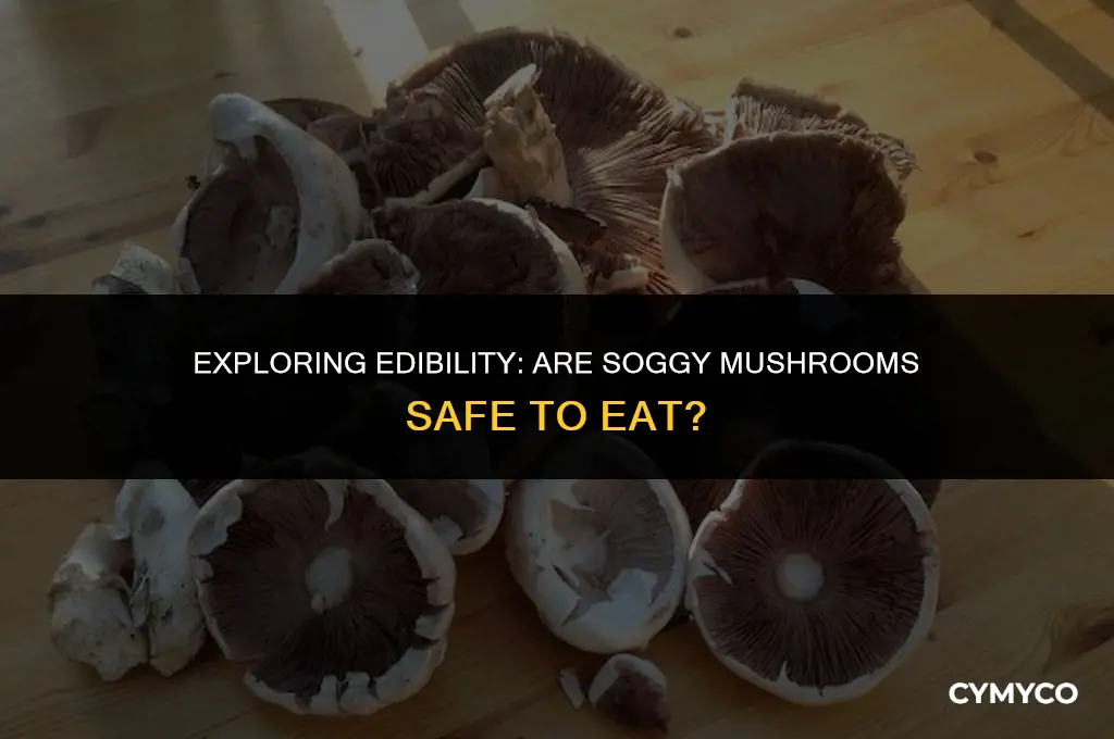 are soggy mushrooms ok to eat