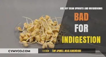 Digestive Dilemmas: The Truth About Soybean Sprouts and Mushrooms