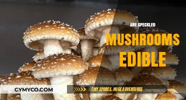 Exploring Edibility: A Guide to Speckled Mushrooms