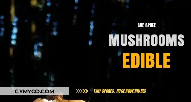 Exploring the Edibility of Spike Mushrooms: A Comprehensive Guide