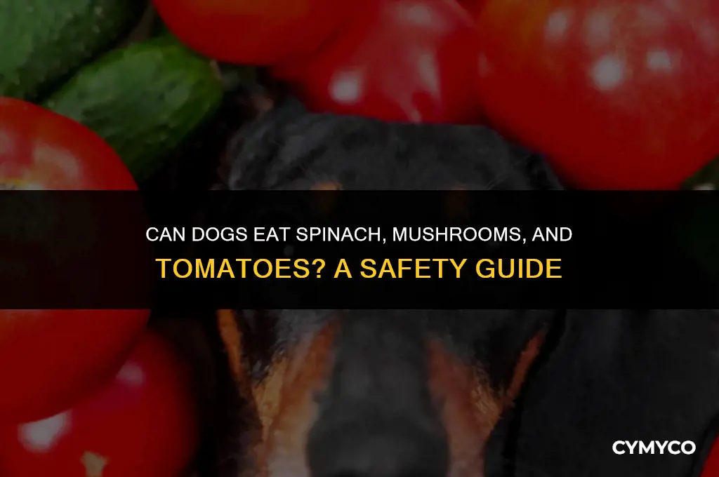 are spinach mushrooms and tomatoes safe for dogs to eat