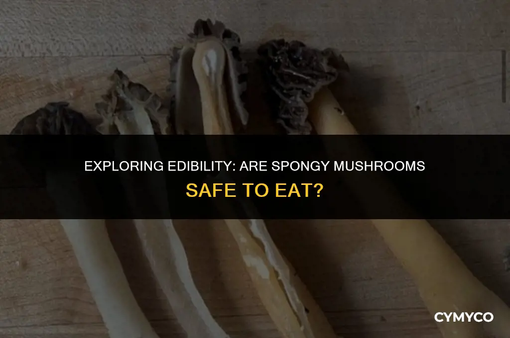 are spongy mushrooms ok to eat