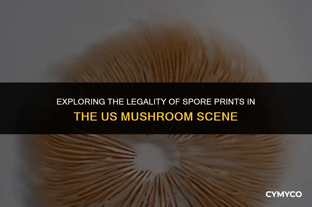 are spore prints legal in us mushroom