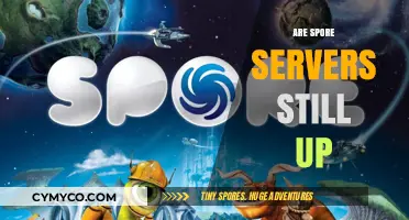 Exploring the Current Status of Spore Servers: Are They Still Active?