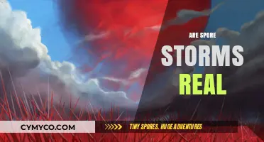 Unveiling the Truth: Are Spore Storms a Real Phenomenon?