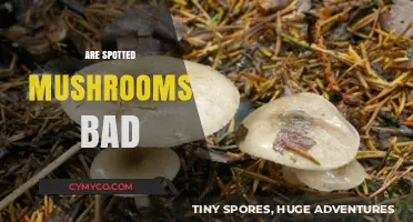 Are Spotted Mushrooms Safe to Eat? A Comprehensive Guide