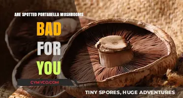 Are Spotted Portabella Mushrooms Safe to Eat?