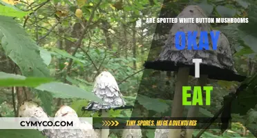 Exploring Edibility: Are Spotted White Button Mushrooms Safe to Eat?