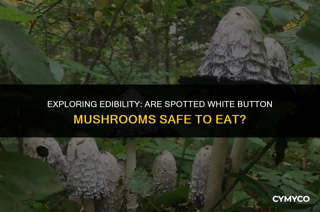 are spotted white button mushrooms okay t eat