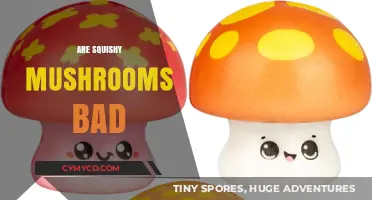 Squishy Mushrooms: A Forager's Guide to Edibility and Safety