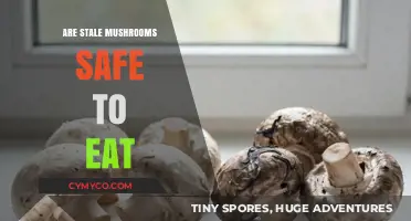 Are Stale Mushrooms Safe to Eat: A Comprehensive Guide