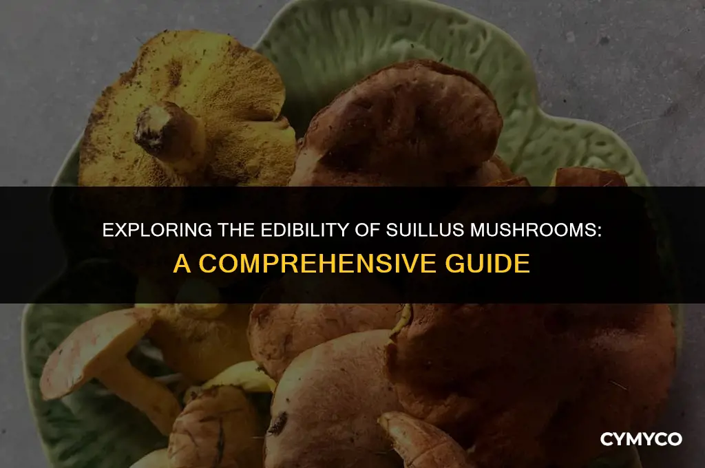 are suillus mushrooms edible
