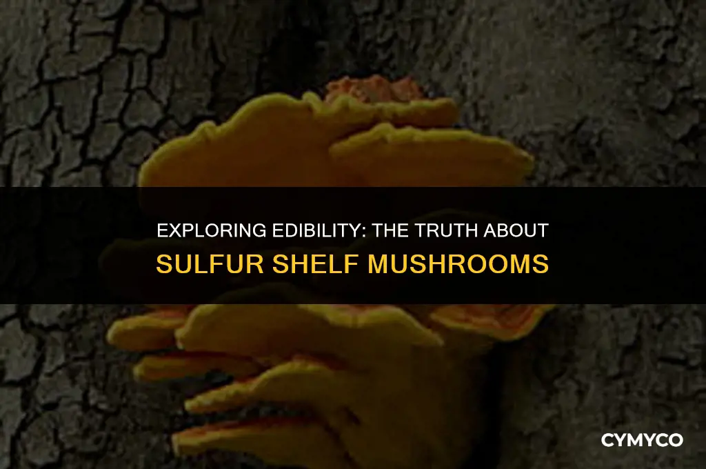are sulfur shelf mushrooms edible