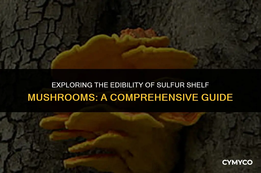 are sulfur shelf mushrooms poisonous