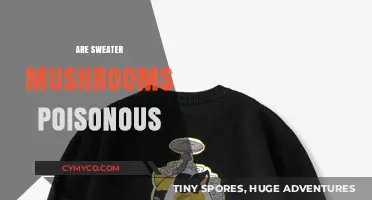 Toxic Threads: Unraveling the Mystery of Poisonous Sweater Mushrooms