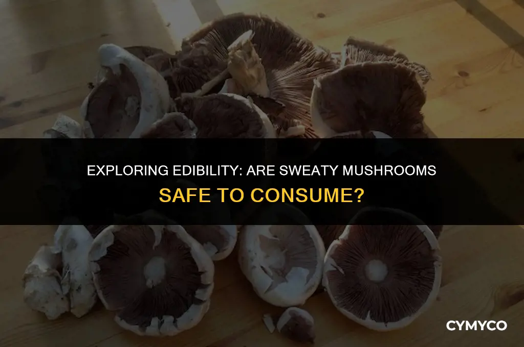 are sweaty mushrooms ok to eat