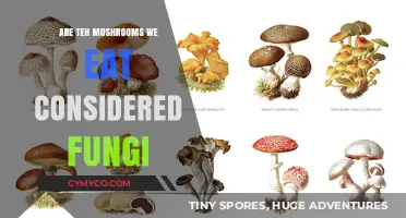 Exploring the Fascinating World of Edible Fungi: Are Mushrooms Truly Fungi?