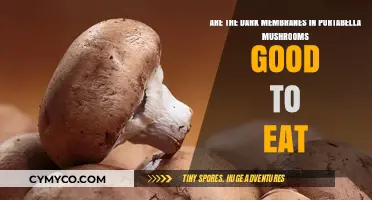 Exploring Edibility: The Dark Membranes of Portabella Mushrooms