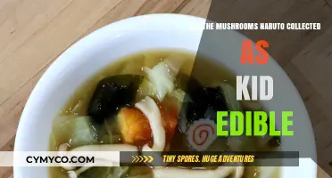 Exploring Edibility: Naruto's Childhood Mushroom Collection