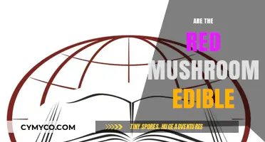 Exploring the Edibility of Red Mushrooms: A Comprehensive Guide