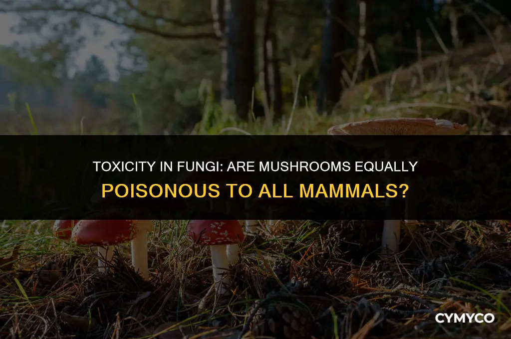 are the same mushrooms poisonous to all mammals