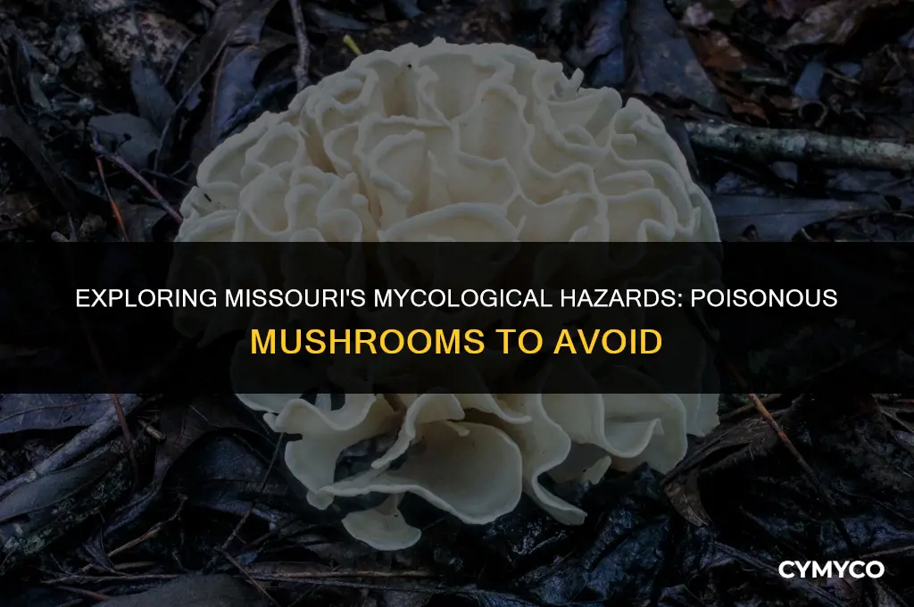 are there any poisonous mushrooms in missouri