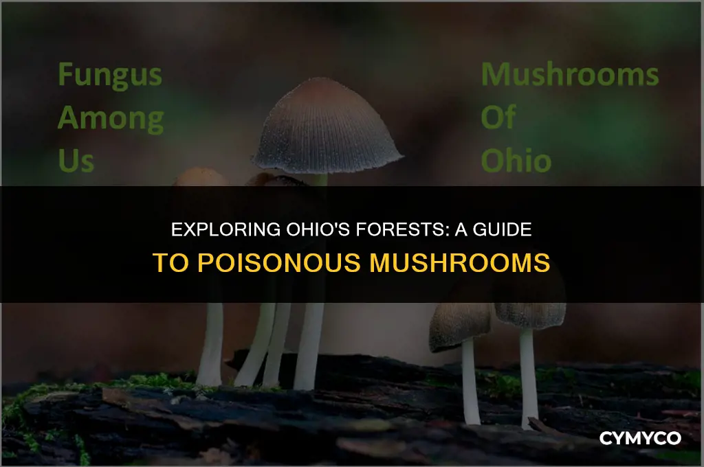 are there any poisonous mushrooms in ohio