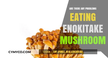 Exploring the Safety and Benefits of Enokitake Mushrooms
