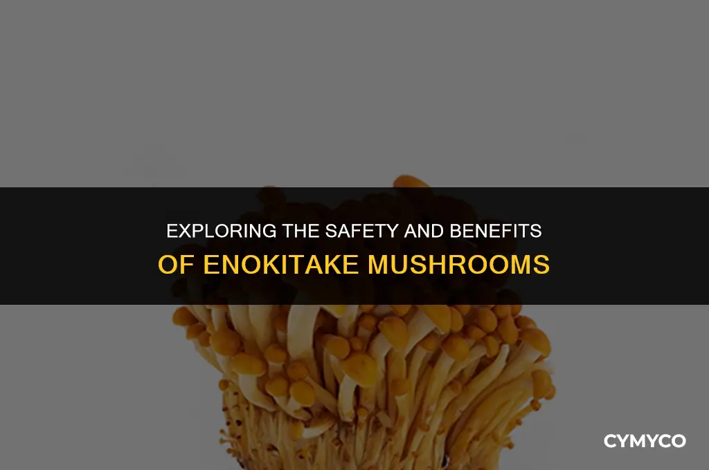 are there any problems eating enokitake mushrooms
