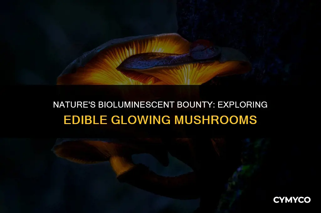 are there edible glowing mushrooms