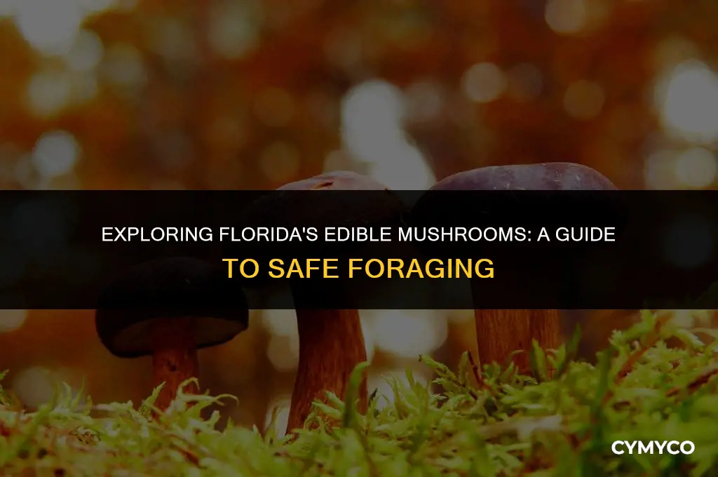 are there edible mushrooms in florida