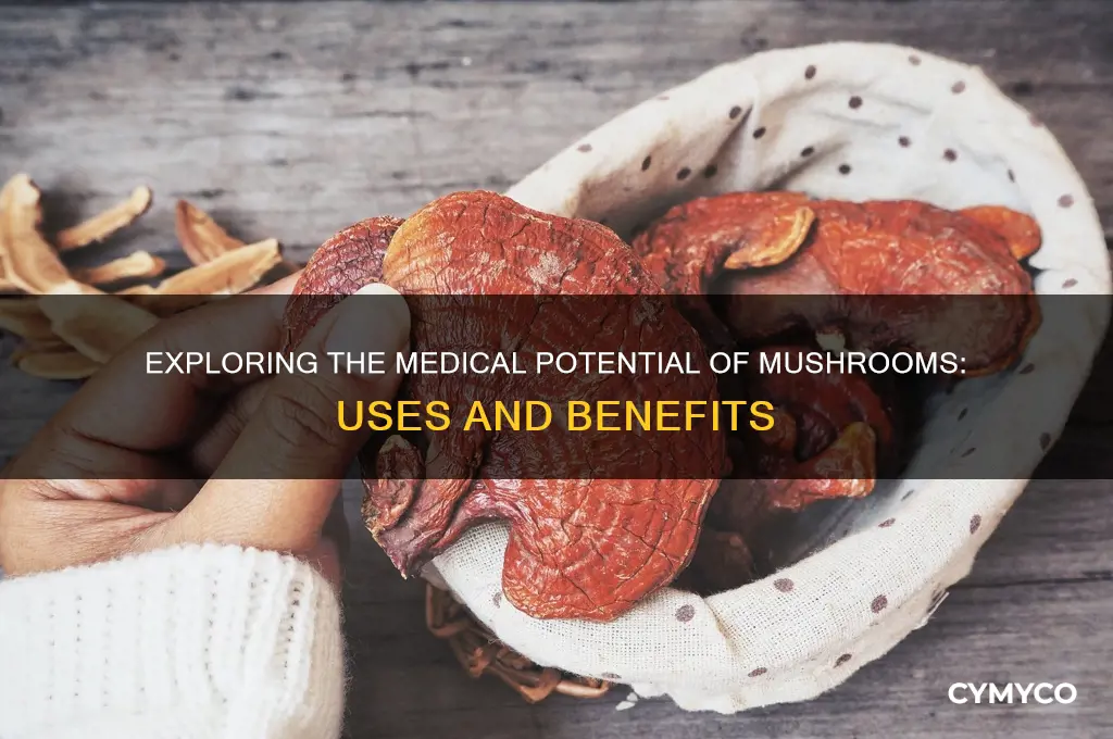 are there medical uses for mushrooms
