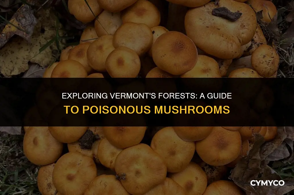 are there poisonous mushrooms in vermont