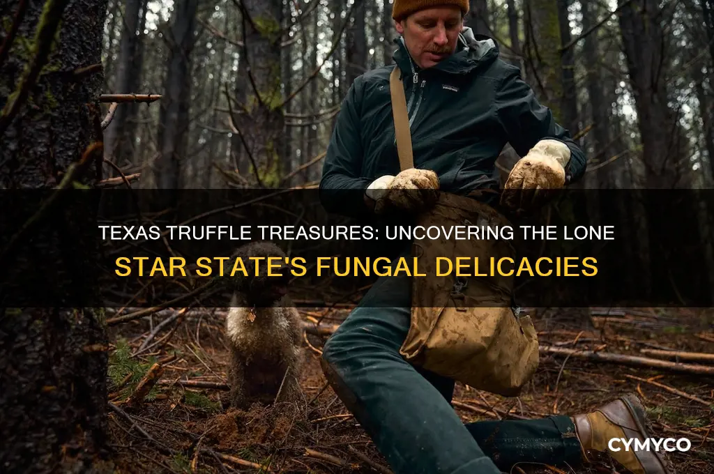 are there truffles in texas
