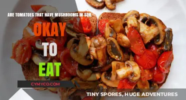 Exploring Edibility: Tomatoes Grown with Mushrooms in Soil