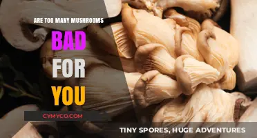 Exploring the Limits: Can You Overdo It with Mushrooms?