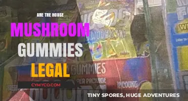 Exploring the Legality of Tree House Mushroom Gummies: A Comprehensive Guide