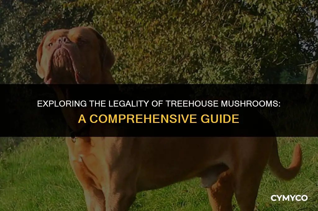 are tre house mushrooms legal