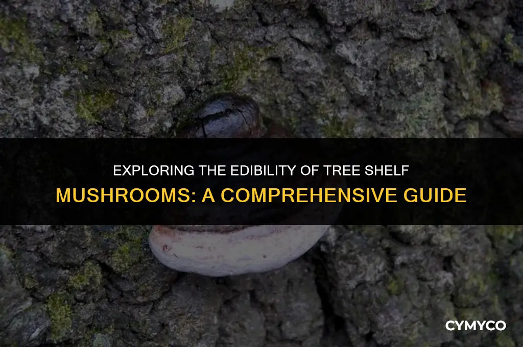 are tree shelf mushrooms poisonous
