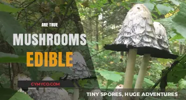 Exploring Edibility: Are True Mushrooms Safe to Eat?